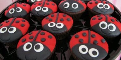 Cupcake Coccinella 14 cupcake coccinella