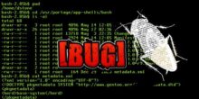 shellshock bug