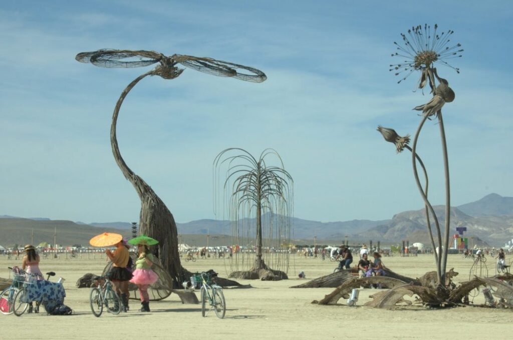 BURNING MAN: NON UN SEMPLICE FESTIVAL 32 BurningMan_piante