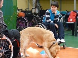 Dottori a 4 zampe, anzi Pet Therapist 3 Dottori a 4 zampe, anzi Pet Therapist – in3clicktv