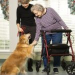 Dottori a 4 zampe, anzi Pet Therapist &ndash; in3clicktv