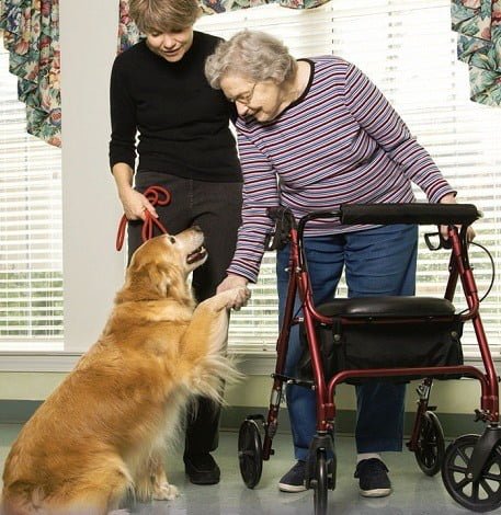 Dottori a 4 zampe, anzi Pet Therapist 5 Dottori a 4 zampe, anzi Pet Therapist – in3clicktv