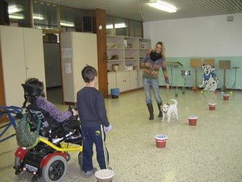 Dottori a 4 zampe, anzi Pet Therapist 4 Dottori a 4 zampe, anzi Pet Therapist – in3clicktv