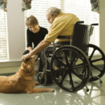 Dottori a 4 zampe, anzi Pet Therapist &ndash; in3clicktv