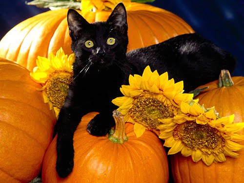 Halloween nel Mondo: tradizione ed usanze – in3clicktv