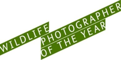 wildlife photographer of the year – in3clicktv