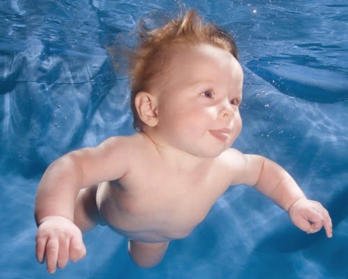 Acquaticità neonatale. Utile e divertente 12 Acquaticità neonatale. Utile e divertente – in3clicktv