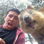 selfie: non si può sminuirlo chiamandolo autoscatto. &ndash; in3clicktv