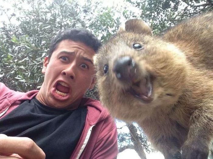 Selfie: non si può sminuirlo chiamandolo autoscatto. – in3clicktv