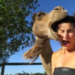 selfie: non si può sminuirlo chiamandolo autoscatto. &ndash; in3clicktv