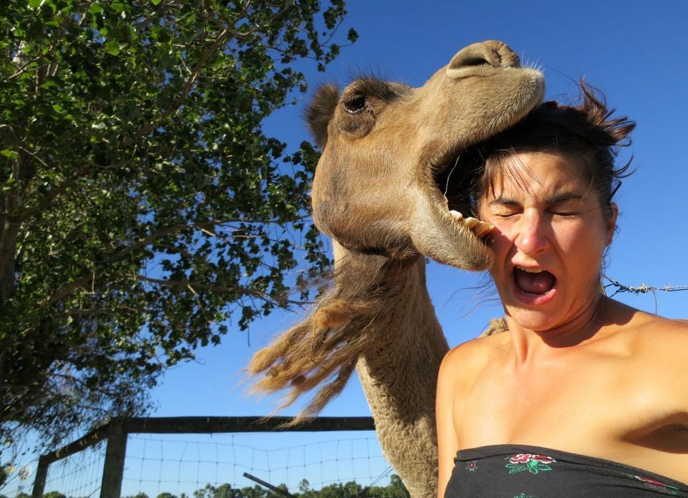 Selfie: non si può sminuirlo chiamandolo autoscatto. – in3clicktv