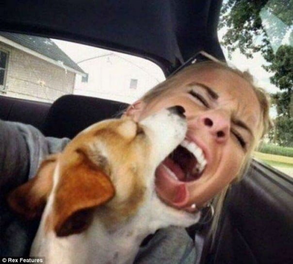 Selfie: non si può sminuirlo chiamandolo autoscatto. – in3clicktv
