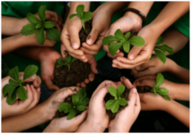 guerrilla gardening - hands