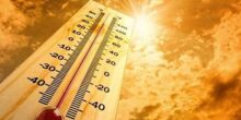 caldo