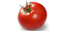 tecnica del pomodoro