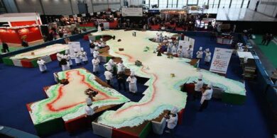 Torta record: scendono in campo i professionisti del settore per dare vita alla torta degna del Guinness World Records 26 torta record italia