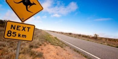 Emigrazione in Australia e mal di Sardegna 10 Emigrazione in Australia e mal di Sardegna – in3clicktv