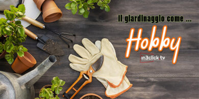 Giardinaggio e Fai da Te - 7 attrezzi fondamentali &ndash; in3clicktv